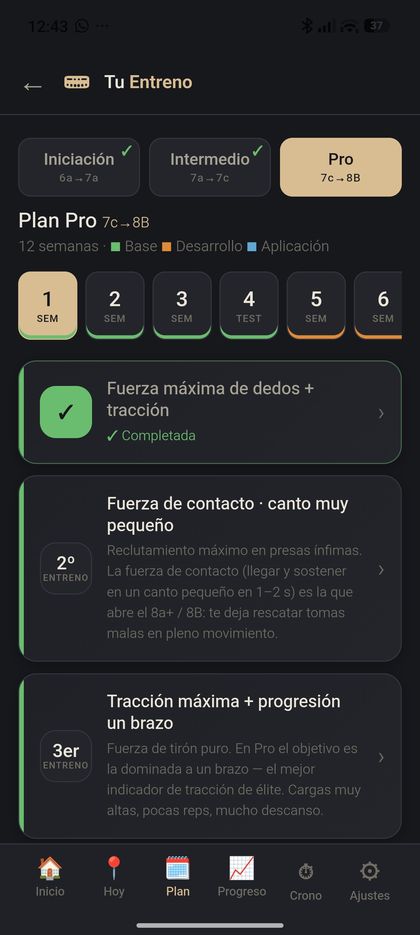 Sesión de entrenamiento paso a paso