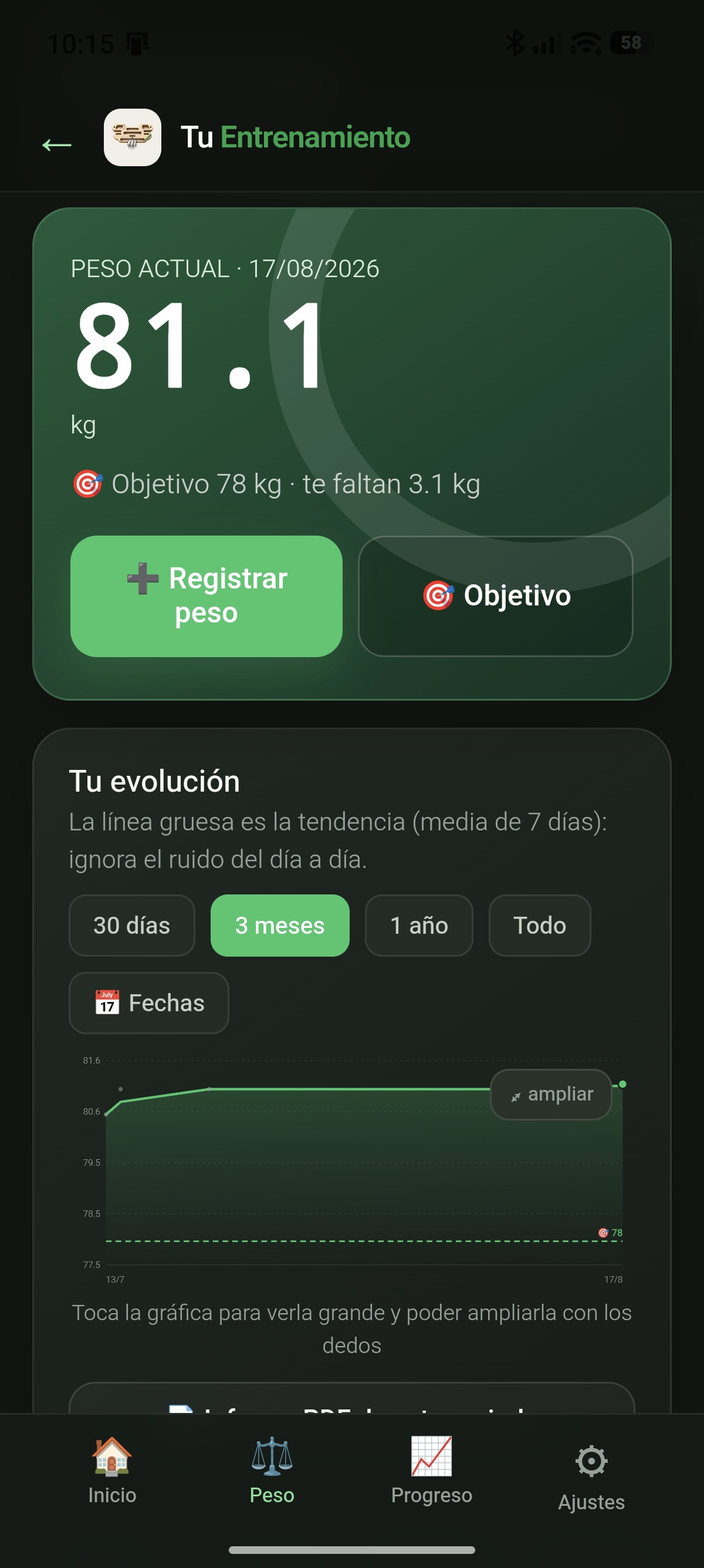 Gráficas de progreso de entrenamiento